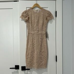 New with tags Rachel Parcell lace cream sheath dress.